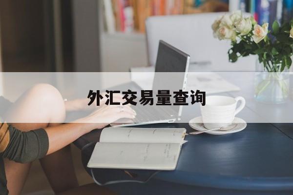 外汇交易量查询(外汇交易记录查询)