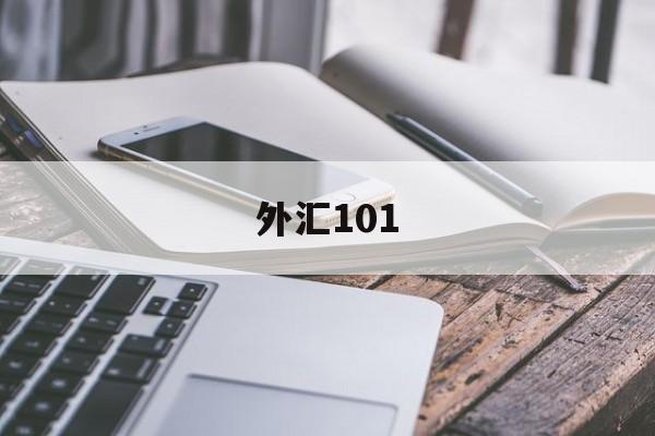 外汇101(外汇110官网下载)